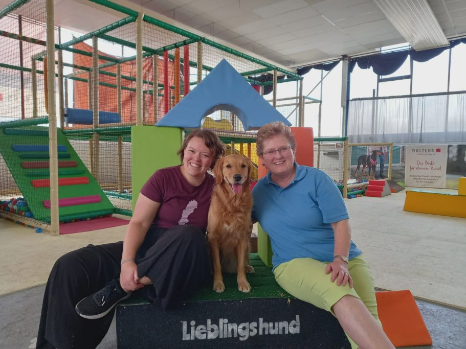 Aus der Schweiz kam "Sunny" zu uns