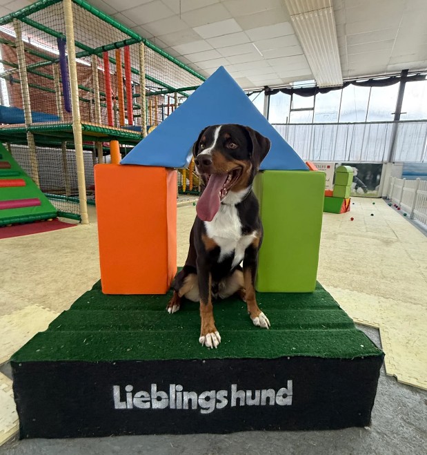 Casper aus Osnabrück