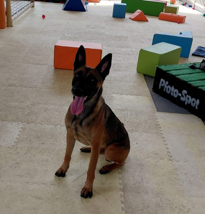 Jaxx aus Berlin
